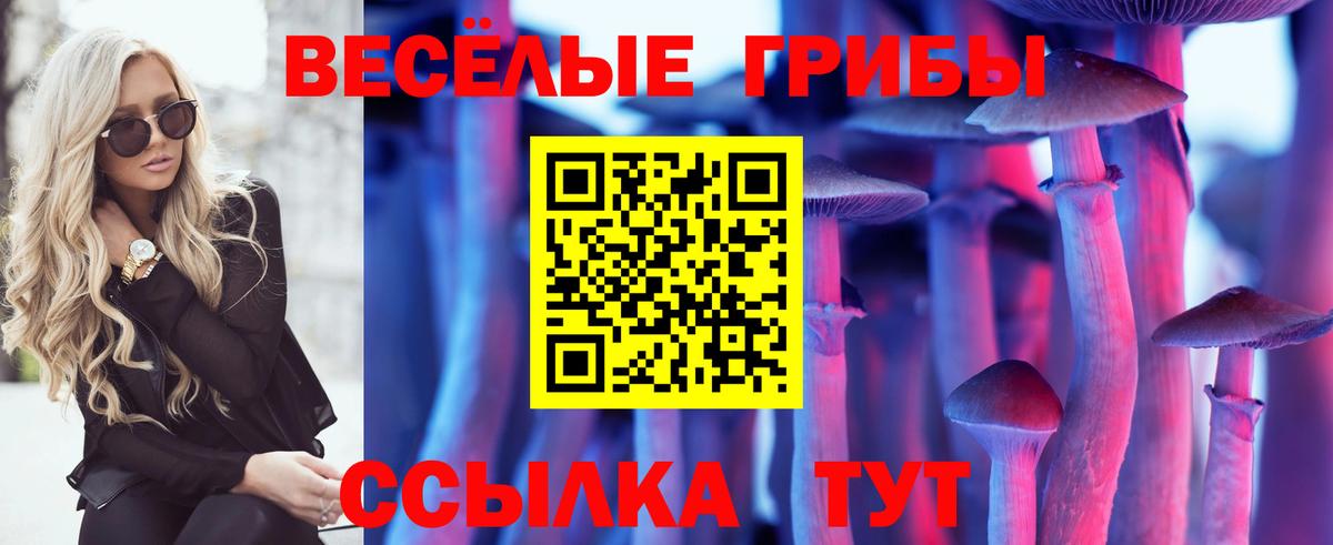Амурск  Псилоцибиновые грибы Magic Shrooms  Псилоцибиновые грибы Psilocybe  Вход с VPN 