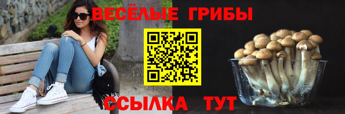 Псилоцибиновые грибы Magic Shrooms Амурск